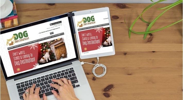 Dog Destination identity and Magento store