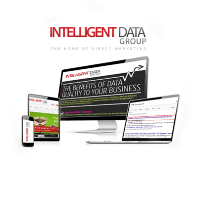 Intelligent Data Group — project showcase