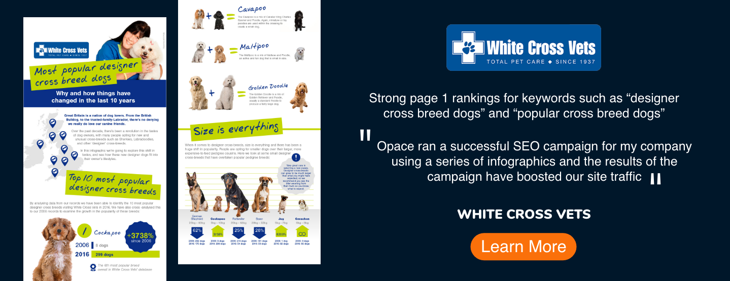 White Cross Vets - Opace Project