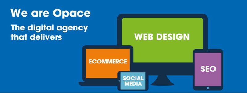 Opace Technology Solutions: Business Profile