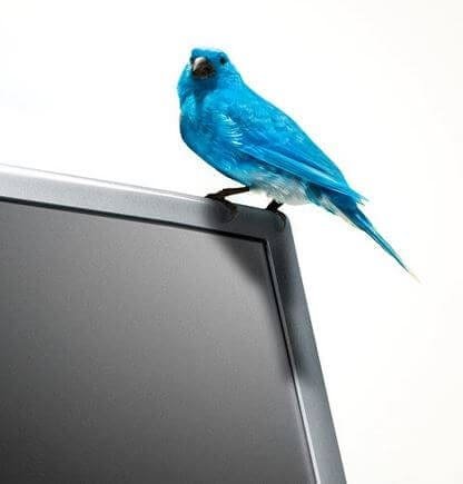 Is Early Adoption a Smart Social Media Marketing Strategy?