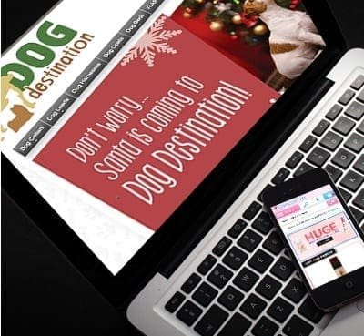 Dog Destination Portfolio 5