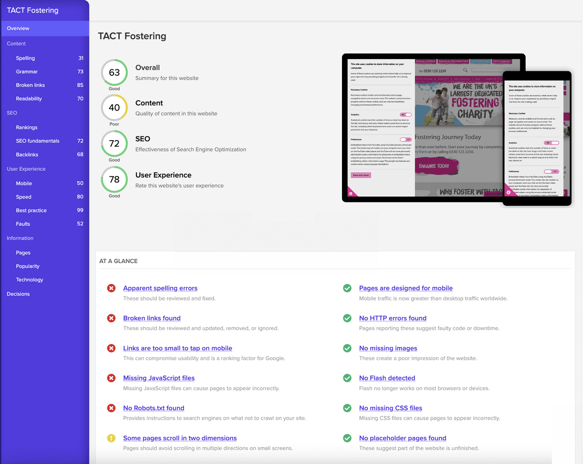 SEO audit report example produced by Opace, detailing crawlability, site speed and on-page SEO findings