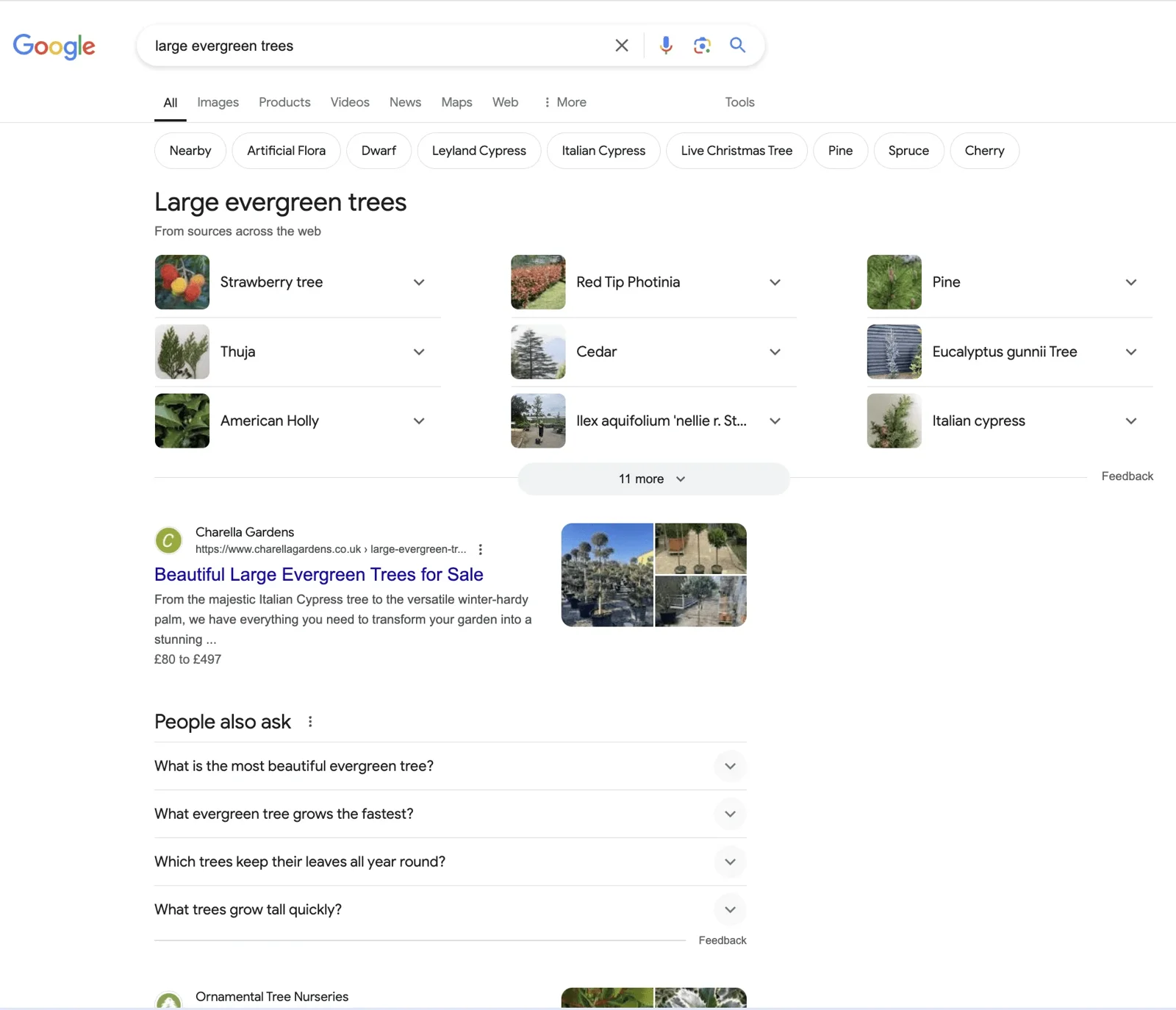 Charella Gardens SEO - ranking 1 for Large Evergreen Trees