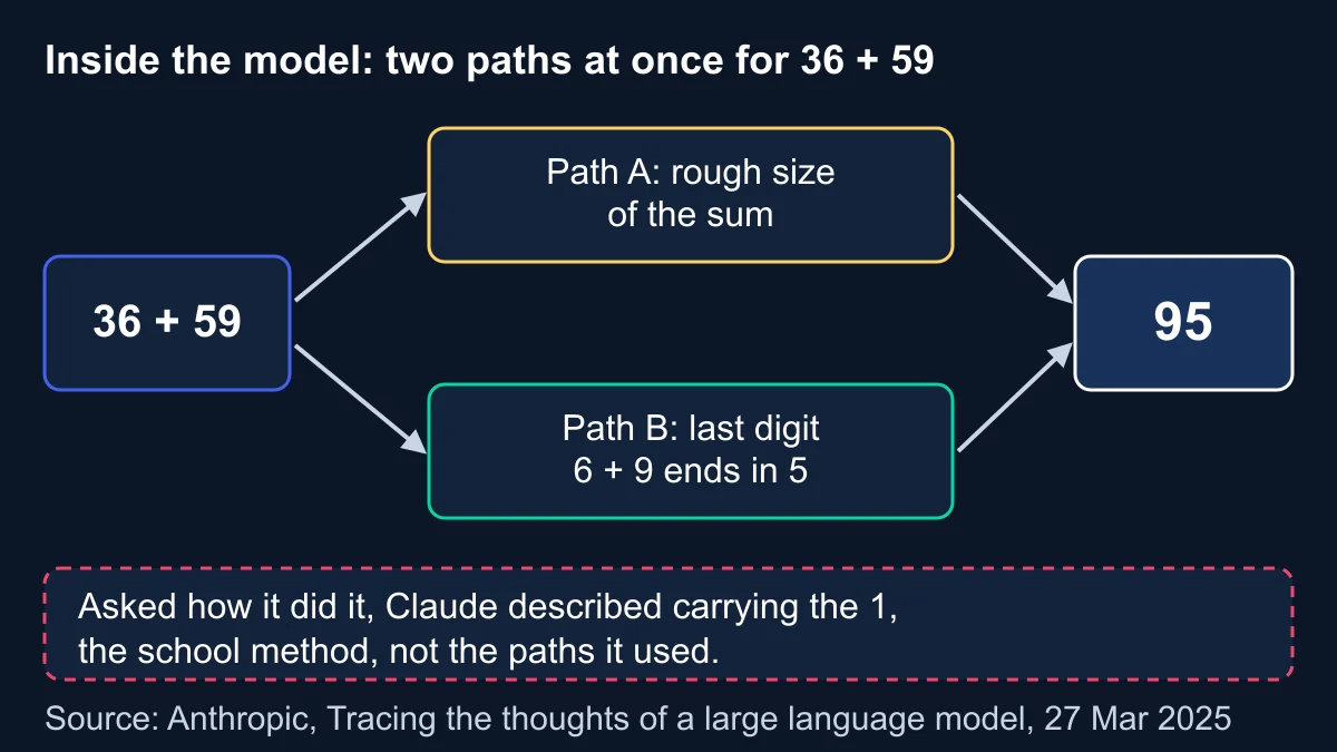 Diagram of 36 plus 59 splitting into two parallel paths inside the model, one for the rough size of the sum and one for the last digit, merging into 95, with a note that Claude described carrying the 1 instead