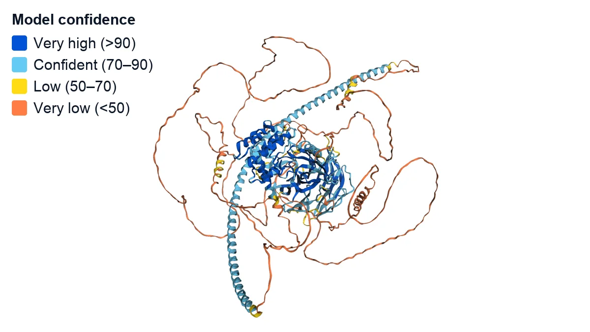 AlphaFold-predicted 3D structure of the TNIK protein, coloured by the model's confidence, with large low-confidence regions and a four-band confidence legend