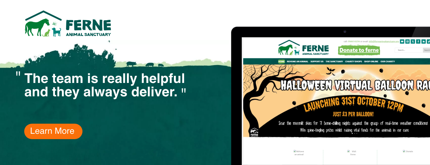 Ferne Animal Sanctuary project