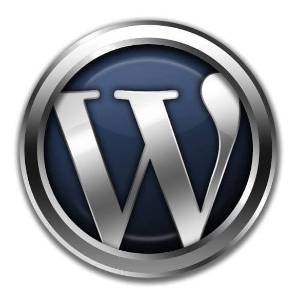 Top 5 Essential WordPress Plugins for Your Business Website | Opace