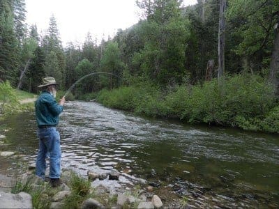 Why Linkbaiting Makes Good Content for SEO | Opace