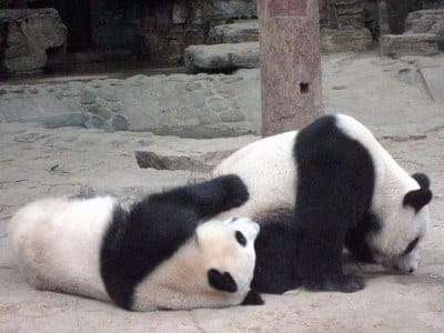 Post-Panda SEO Checklist | Part 2 | Opace