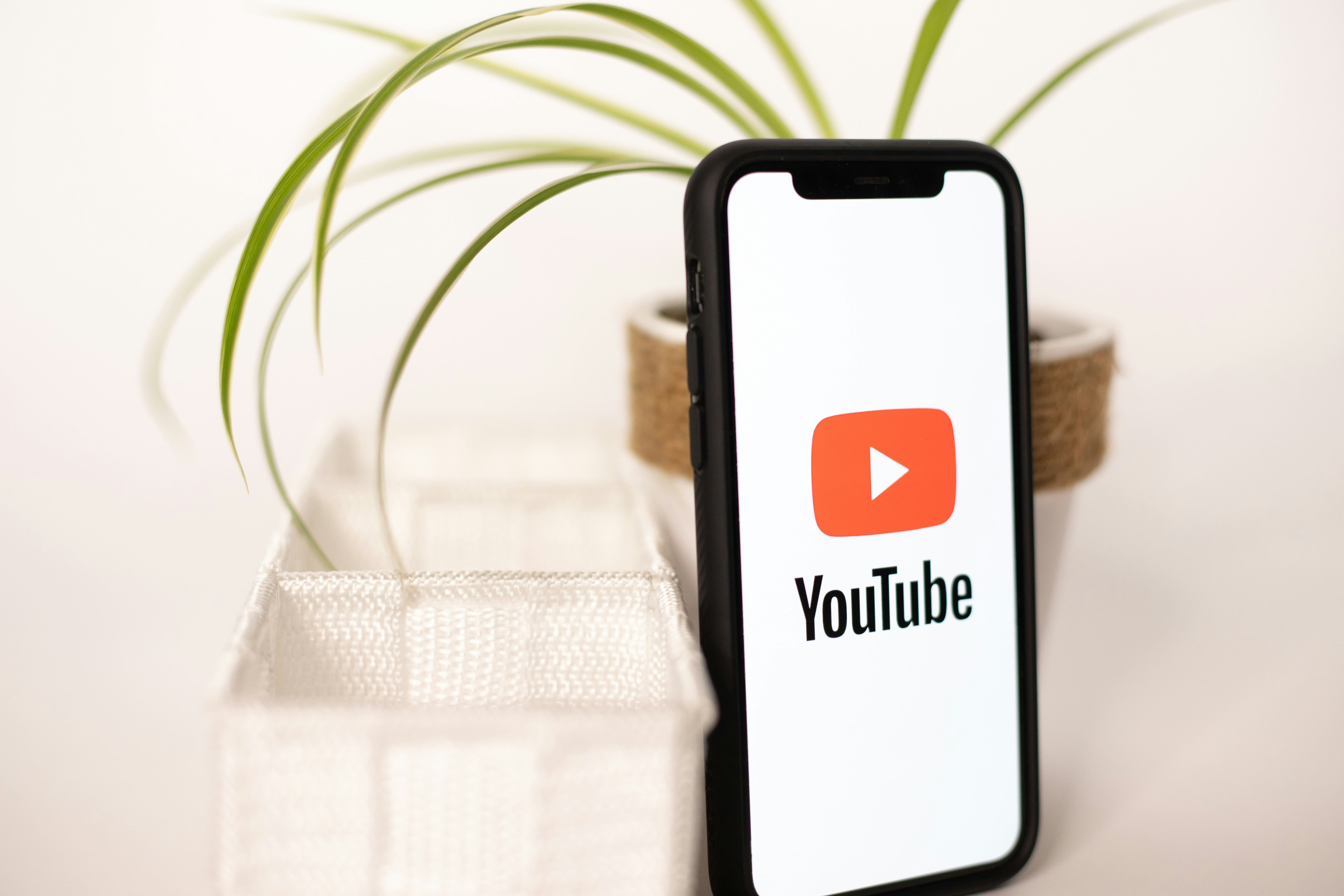 YouTube shorts is a popular tool for viral video content