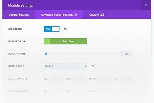 An example advanced setting module screenshot from Divi 2.4