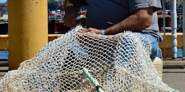 - build quality links