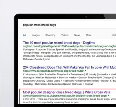 seo for wire rope direct