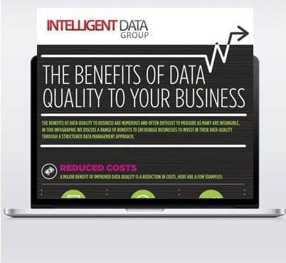 Intelligent Data Group Portfolio 4