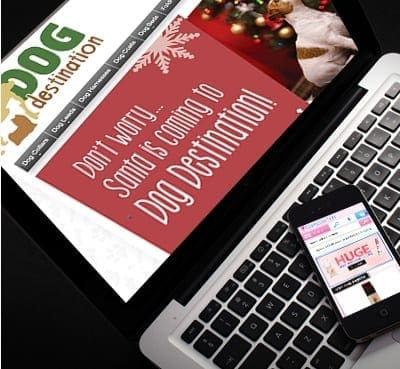 Dog Destination Portfolio 5