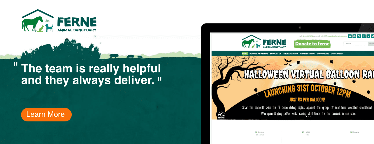 Fern WordPress WooCommerce Design and Management Fern WordPress WooCommerce Design and Management