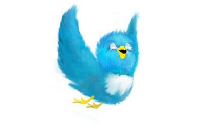 Why Bother with Twitter Marketing for Business?