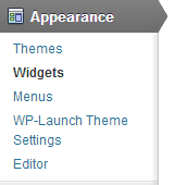 Widget option