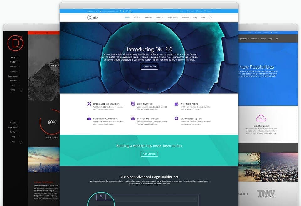 Divi theme