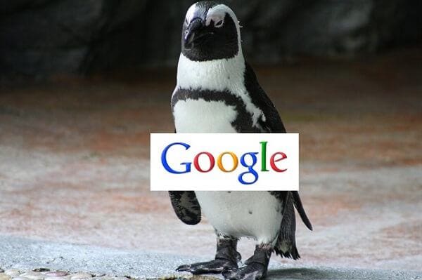 Google penguin update