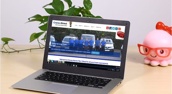 Cranes direct portfolio 2