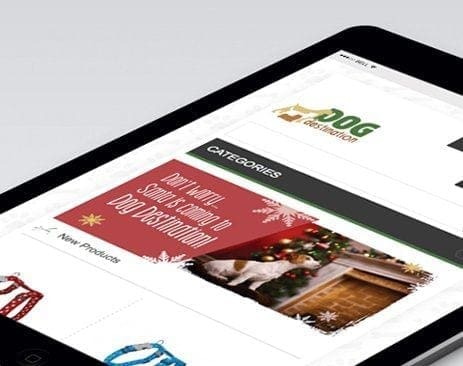 Dog destination - dog destination Dog destination